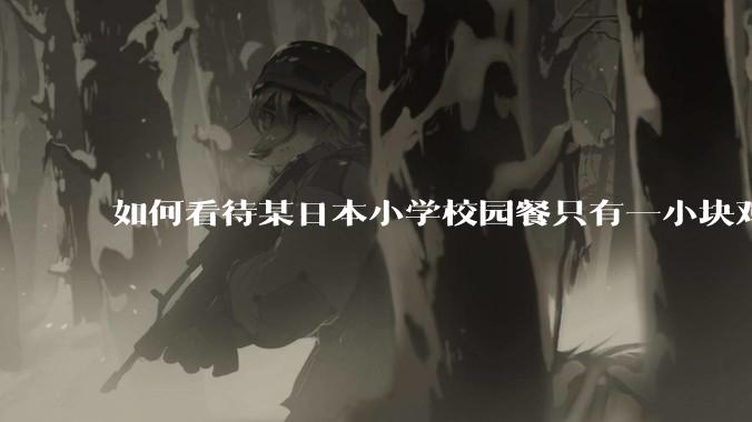 如何看待某日本小学校园餐只有一小块鸡肉？