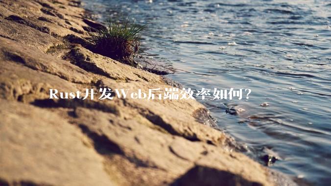 Rust开发Web后端效率如何？