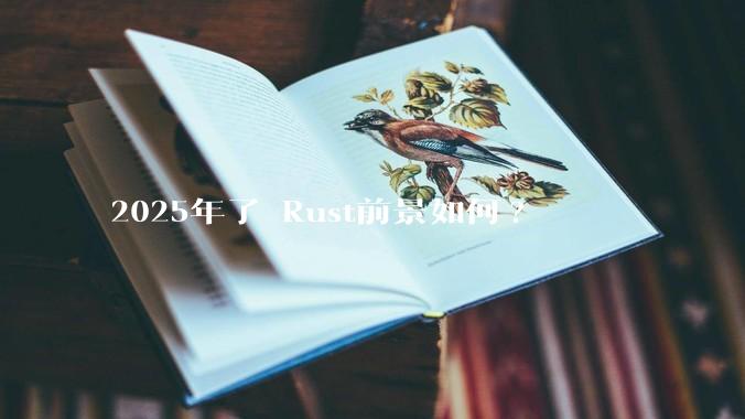 2025年了 Rust前景如何?